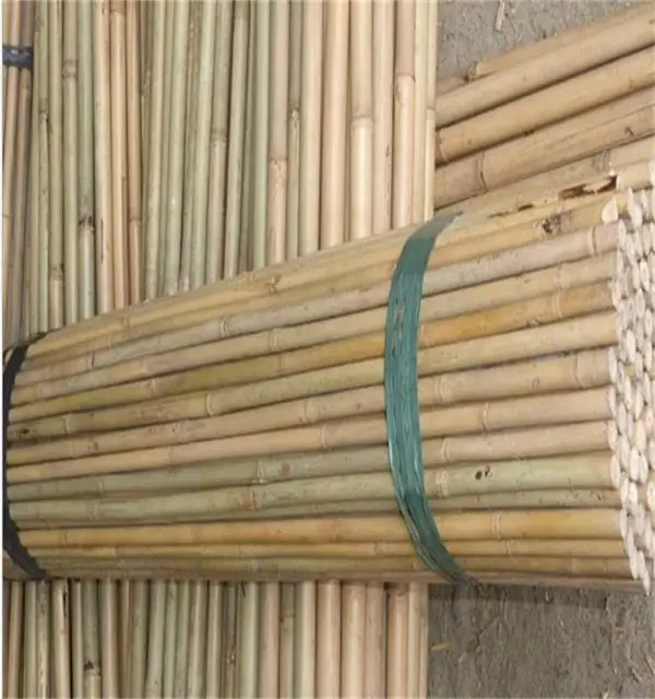 china bamboo pole