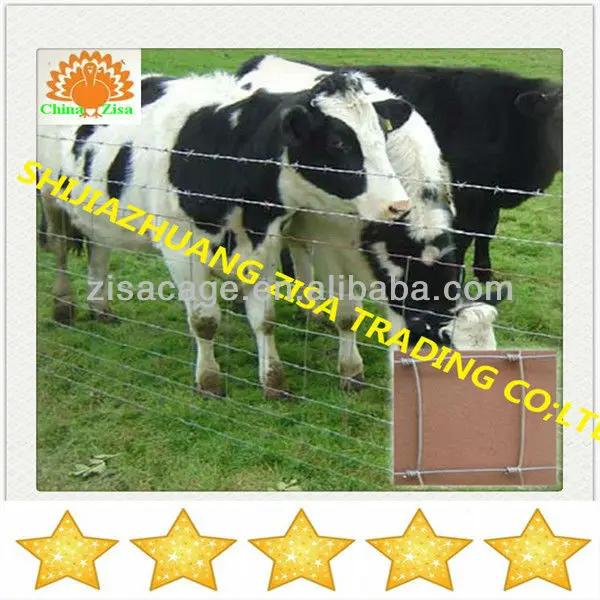 Chine zisa clôture de vache fabricants