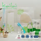 disposable amenity set/Customized Logo Sachet Packed travel size hotel toiletries gift set