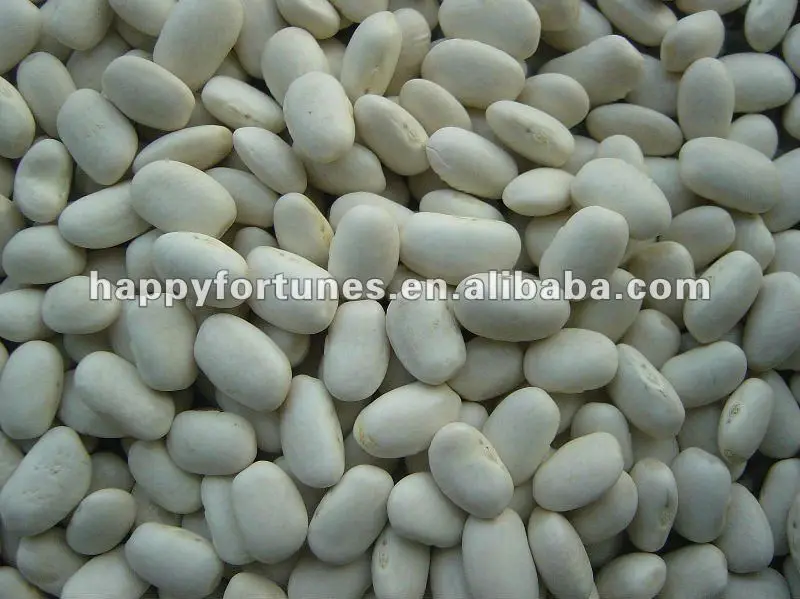 white kidney beans medium size