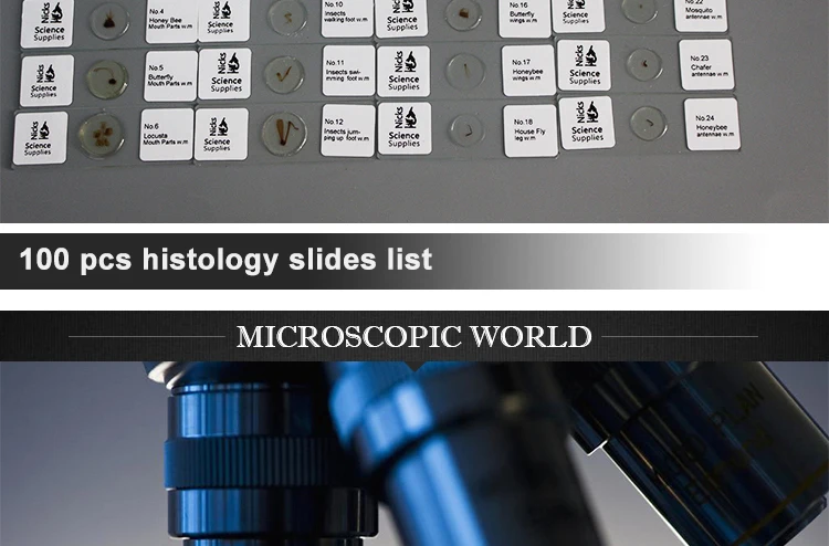 Histological Slice Microscope Slides.jpg