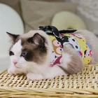 2019 New Bowknot Pet Polyester Harness Of Cats For Sale
