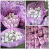/product-detail/good-price-new-crop-garlic-import-from-china-60725707236.html