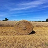 Agricultural grass packing hay straw wrap bale net