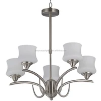 Professional Lighting Factory Polished Nickel Decorative