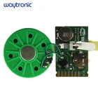 Custom Music Pre-recorded Sound Chip for Greeting Card