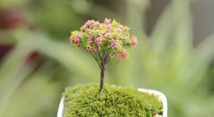 HTB1x5QyIVXXXXXqXXXXq6xXFXXX1