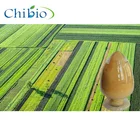 Powder or liquid form Agricultural Chitosan Oligosaccharide fertil price