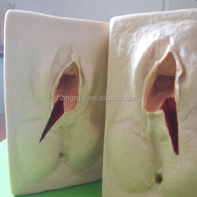 hot sales practice model for vulva suture,training model,vulva