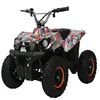/product-detail/mini-electric-atv-kids-electric-atv-36v500w-800w-1000w-with-ce-certificate-60776129565.html