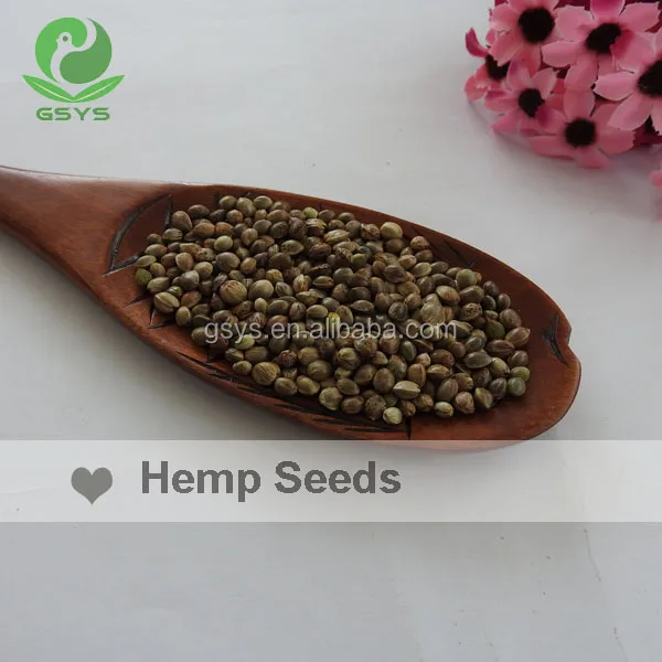 well selected hemp seeds for bird