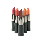 Brand New Design with High Quality Long - Lasting Materials Charming Red Lipstick, Private Label Lip Makeup