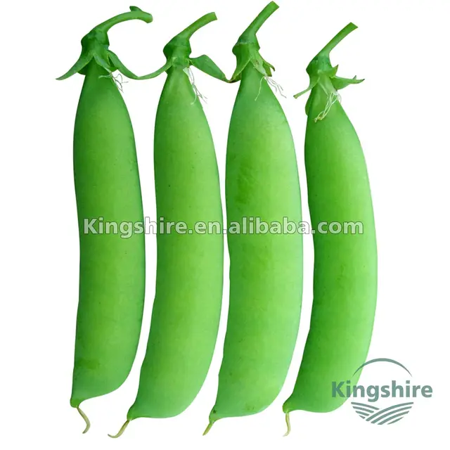 crescent-shaped sweet chinese snow pea pod (ho lan dow)