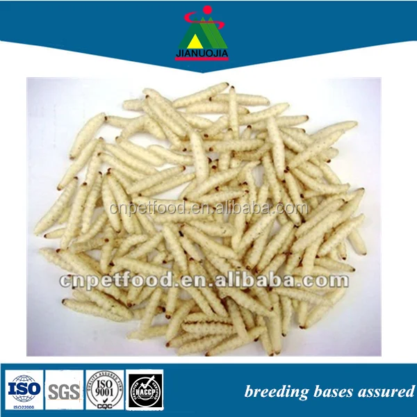 jianuojia pet food freeze dried wax worms