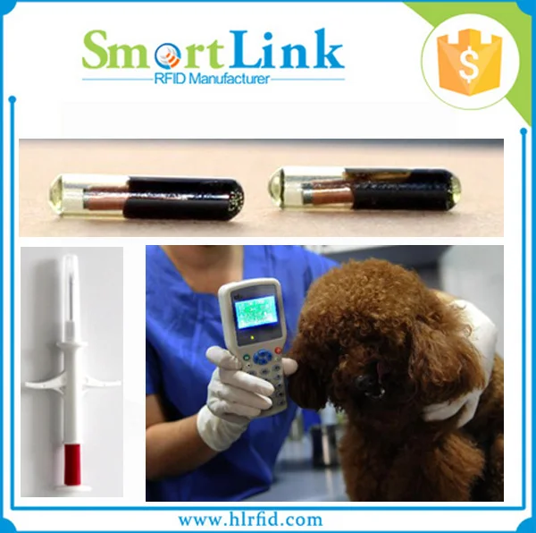 Rfid Dog Transponder,Em4305 Chip Rfid Glass Capsul Tag For Animal