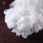 100% polyester hollow recycled fiber hs code 55032000 for sale