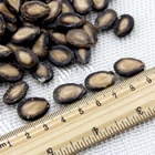 chinese f1 hybrid black watermelon seeds