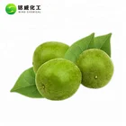 Packaging Customization Extract Powder Mogroside Monk Fruit Bulk Organic Monk Fruit Extract 20% Mogroside V Luo Han Guo Extract Powder Manufacturer