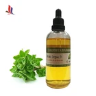 Manufacture Supply Wholesale Oregano Essential Oil Bulk