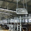 /product-detail/dairy-ventilation-fan-dairy-farm-cooling-fan-50016564151.html