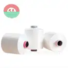 factory Nylon 6 DTY 70D 24F semi dull price of nylon per kg in PA 100% polyamide filament RW DIM and color yarn