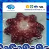 /product-detail/big-size-frozen-cooked-flower-octopus-with-better-price-60397655699.html