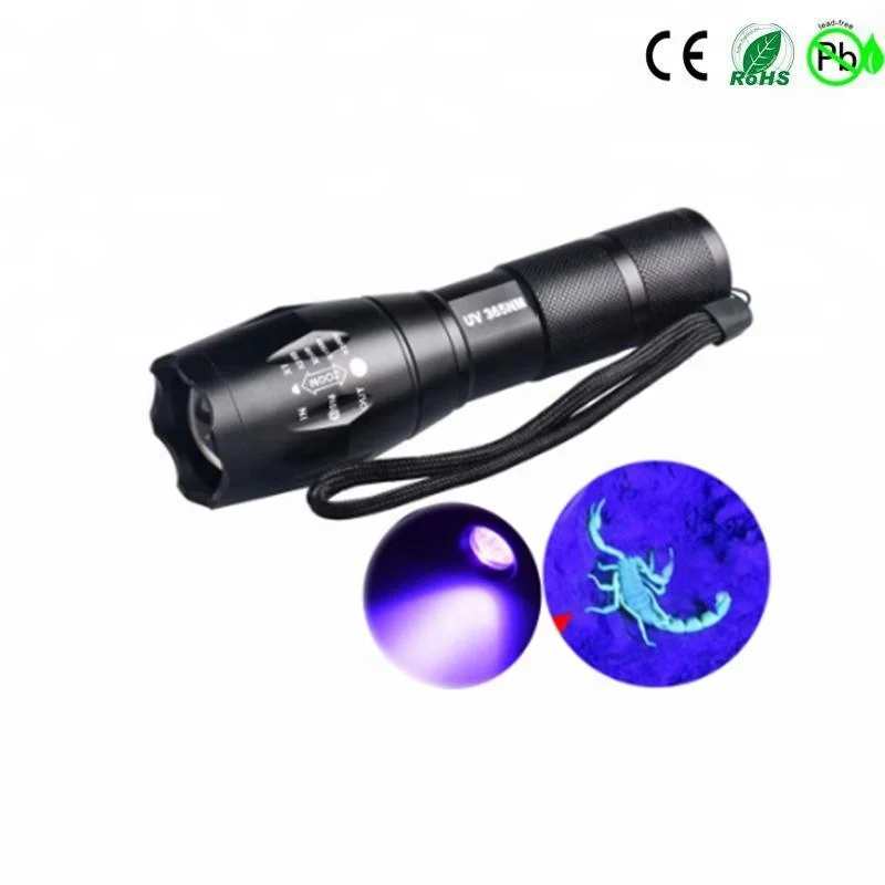 UV Flashlight (4)