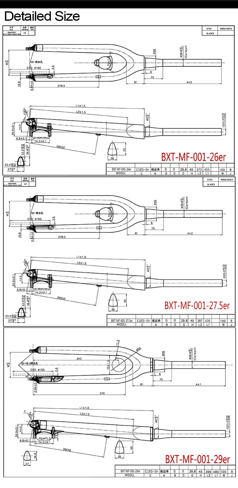 MF-00111_05.jpg