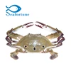 Whole round frozen alive blue three spotted crab