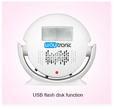 USB Programmable PIR Sensor Museum Shop MP3 Audio Player - ANKUX.COM