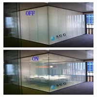 China Factory Privacy Magic Switchable Electric