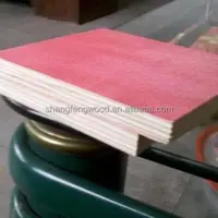 Cheap Plywood Construction Real Estate Poplar