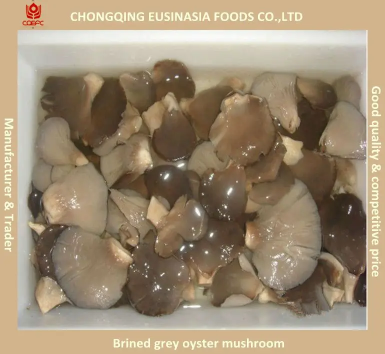 brined whole pleurotus ostreatus/oyster mushroom