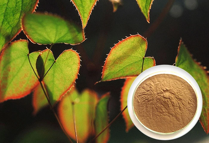 honey goat weed extract herbs high in epimedium