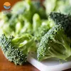 /product-detail/grade-a-iqf-frozen-vegetables-green-broccoli-wholesale-60715344593.html