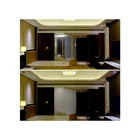 Hotel bathroom partition switchable privacy glass