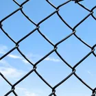 factory Sale hot dipped galvanized chain link fence garden fence