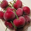 High Quality Frozen Sour Cherries without Stones IQF Sour Cherries New Crop with good price