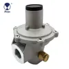 /product-detail/heape-europe-and-india-standard-pipe-natural-gas-regulator-60667230706.html