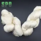 Chinese Mulberry Raw Silk Spun Yarn for Knitting and Weaving