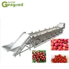 Custom fresh medjool dates sorting machine for vegetable and fruit sorter