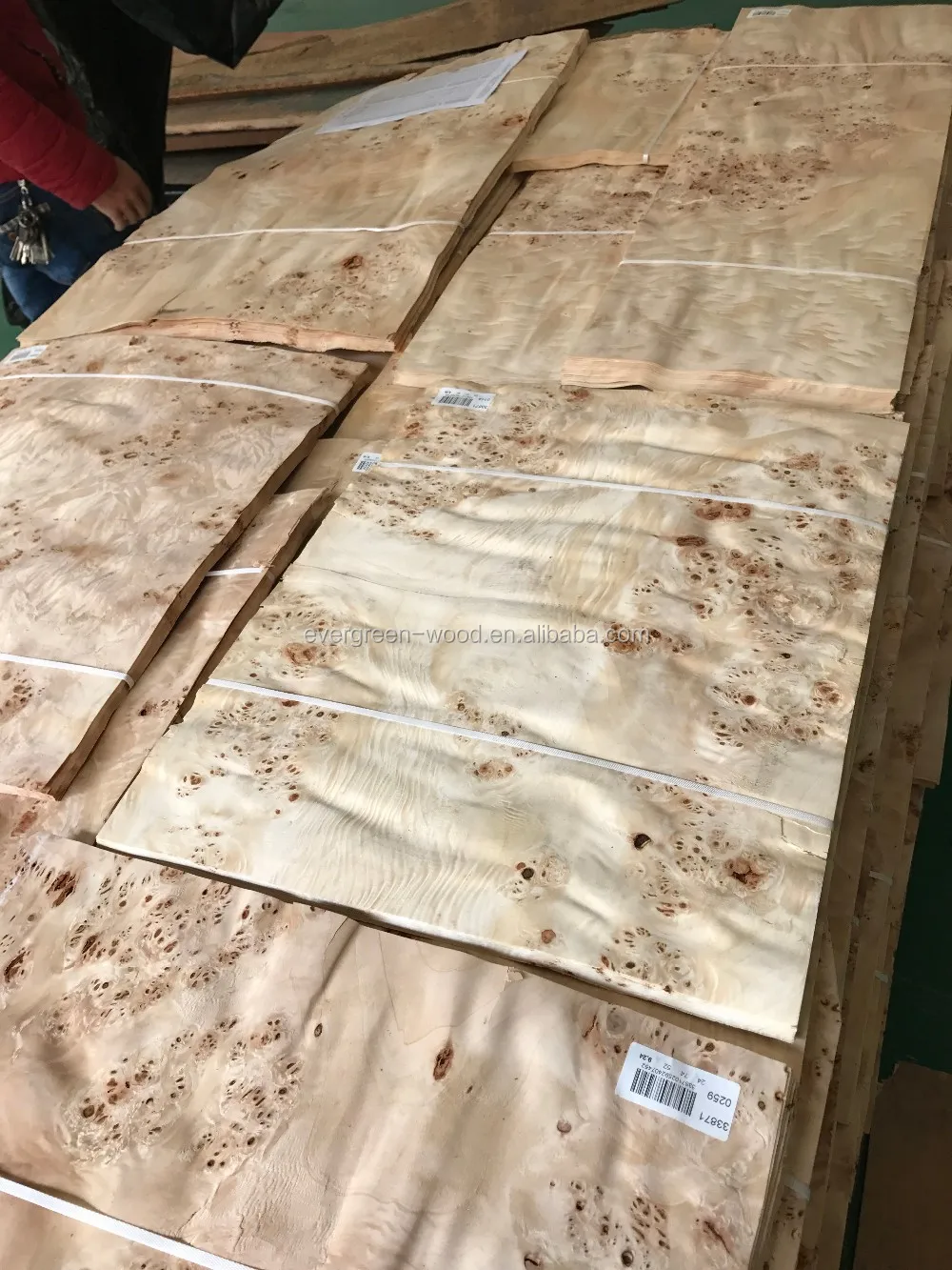 white poplar wood burl veneer