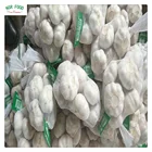 Fresh Pure White Garlic 50mm 20kg/bag with Low Price