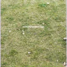 Green silage wrap bale net for grass balers