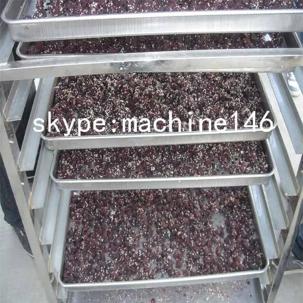fruit dryer4.jpg