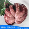 /product-detail/hl089-healthy-fresh-live-octopus-for-sale-60339356084.html