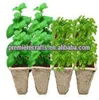 Grow your own herb flower pot herb planter