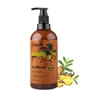 Private Label Deep Conditioning Hair Treatment Best Ginger Organic Cream Silk Conditioner For Natural Hair