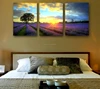 Professional factory provide sunset seascape photography canvas printing for sale