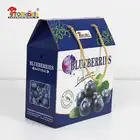 Food grade ECO Printed packaging Cardboard fruit blueberry boxes for packaging